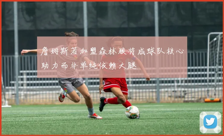 詹姆斯若加盟森林狼将成球队核心助力而非单纯依赖大腿