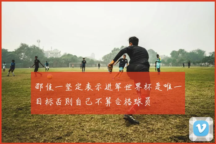 邵佳一坚定表示进军世界杯是唯一目标否则自己不算合格球员